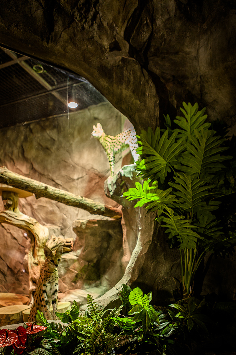 주렁주렁 하남점 인테리어 - 인테리어 디자인 회사 디자인다나함-18