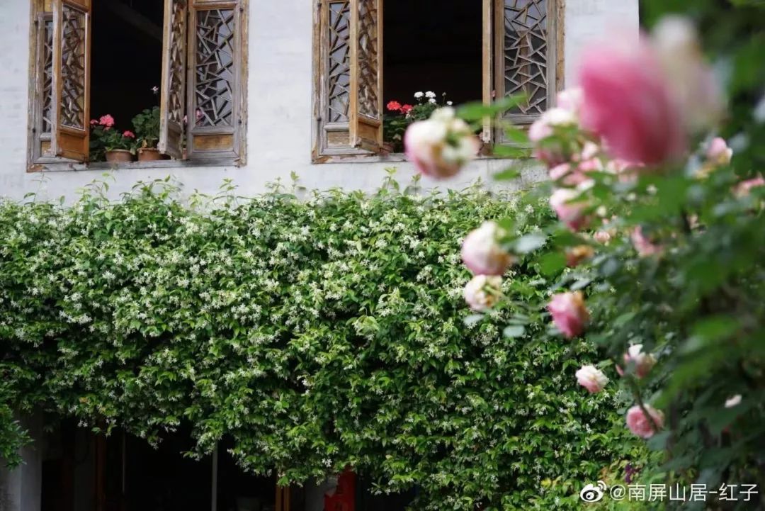 辞去工作，历时7个月，他们过上了有院子，有诗和远方的生活-19