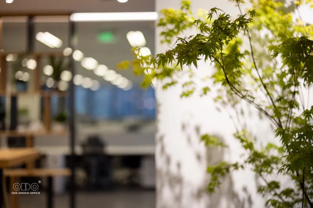 成都正象设计办公空间丨中国成都丨ODO 设计施工团队-31