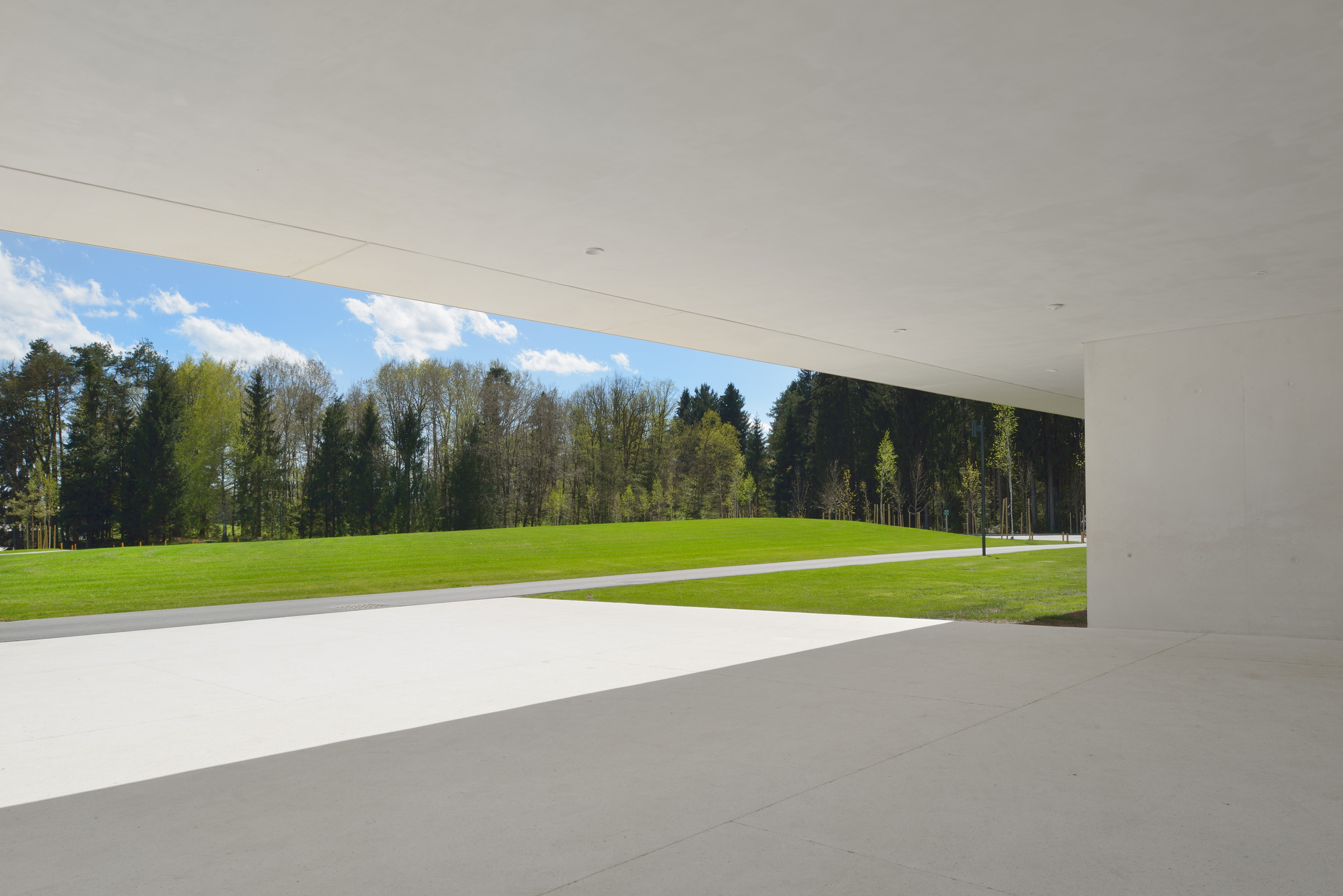 新西兰总部大楼 | 自然与人工的和谐交融-20