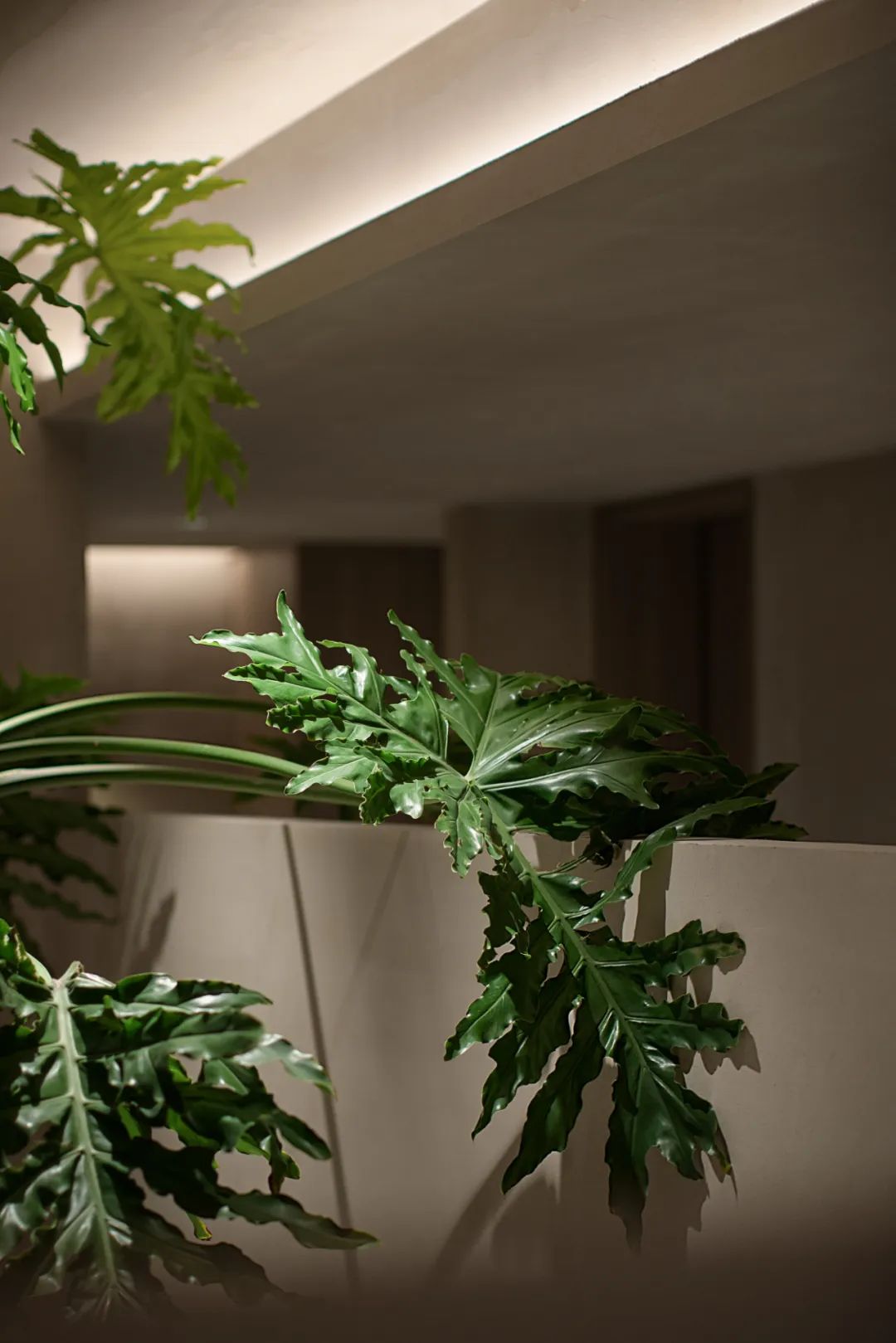 叙茶馆丨中国浙江丨目后空间设计-39