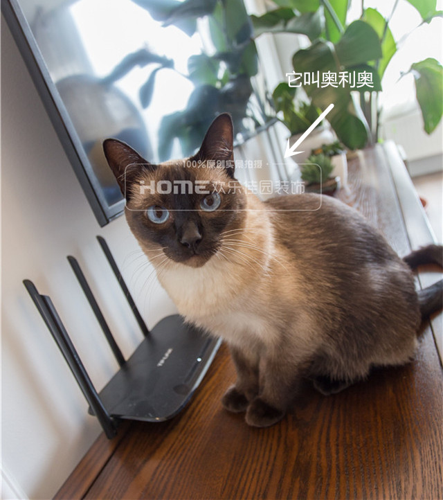 润扬·双铁广场简美风家居-43