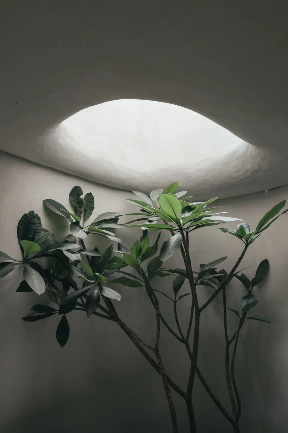 编织店丨巴西圣保罗丨Estudio Sala-14