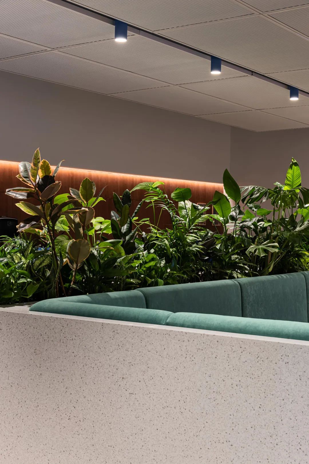 迪拜科技制造公司办公室丨阿联酋迪拜丨T+T Architects-50