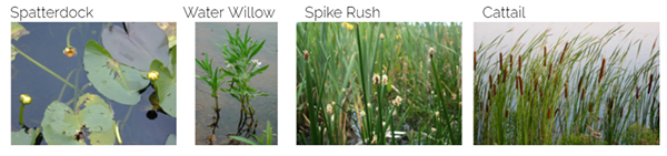 可持续设计相关项目(含公交站,社区花园,农业项目等)丨美国费城-16