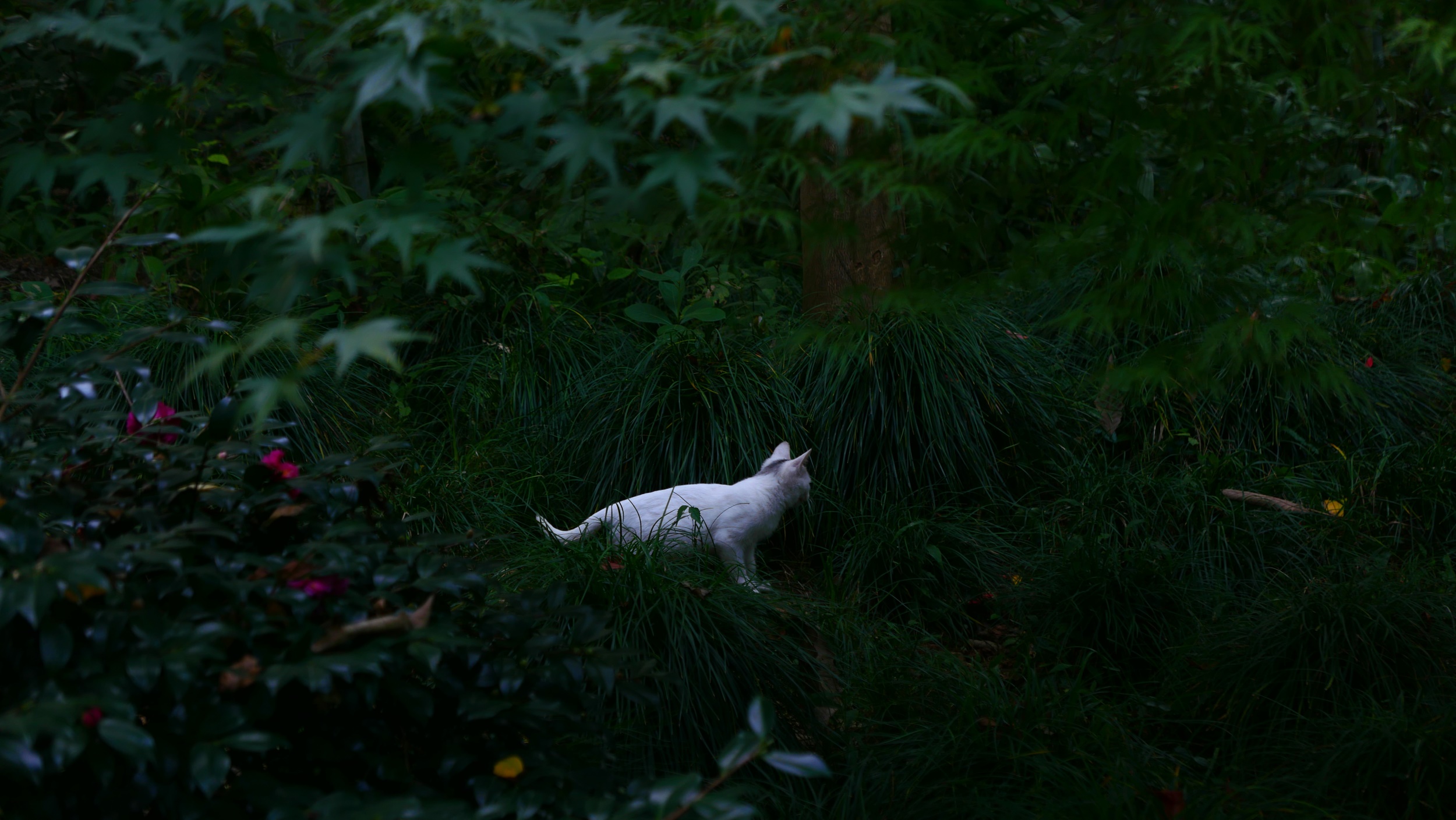 杭州永福寺丨中国杭州-12