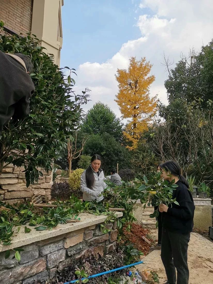 草月流景观 | 秉承工匠精神，缔造极致花园-24