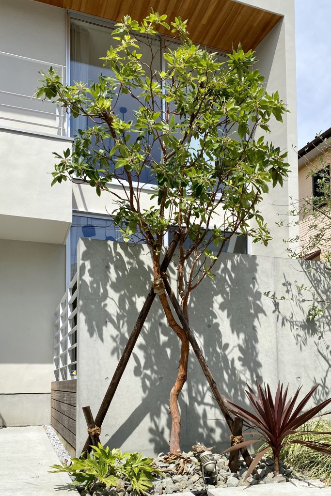 葉山の住宅／House in Hayama丨日本神奈川丨hm + architects一级建筑士事务所-14
