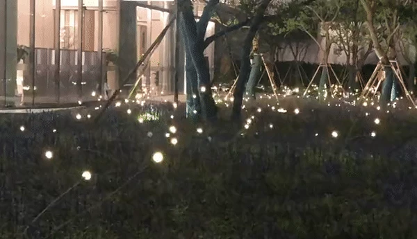 绍兴融信丨中国绍兴丨不详-27