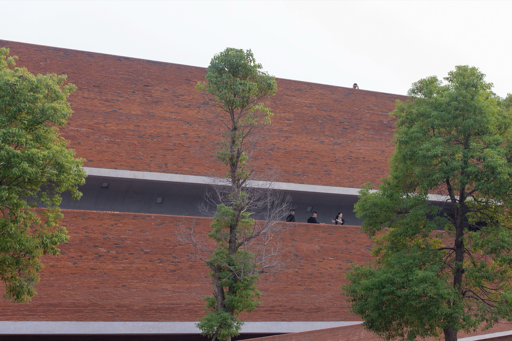 益阳三周文化广场丨中国益阳丨地方工作室-132