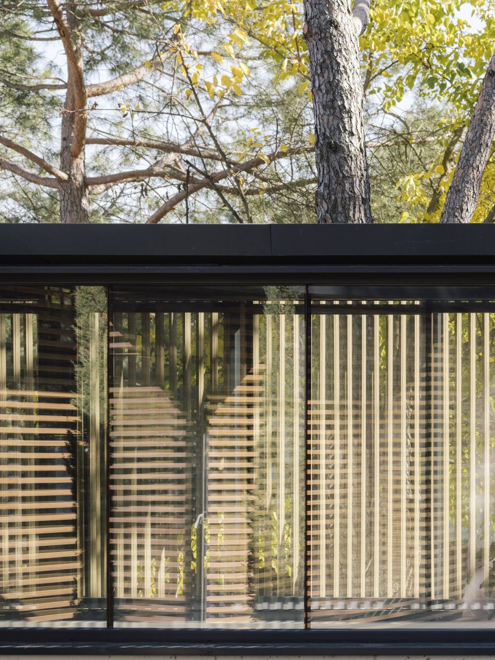 OMA之家（2020）-31