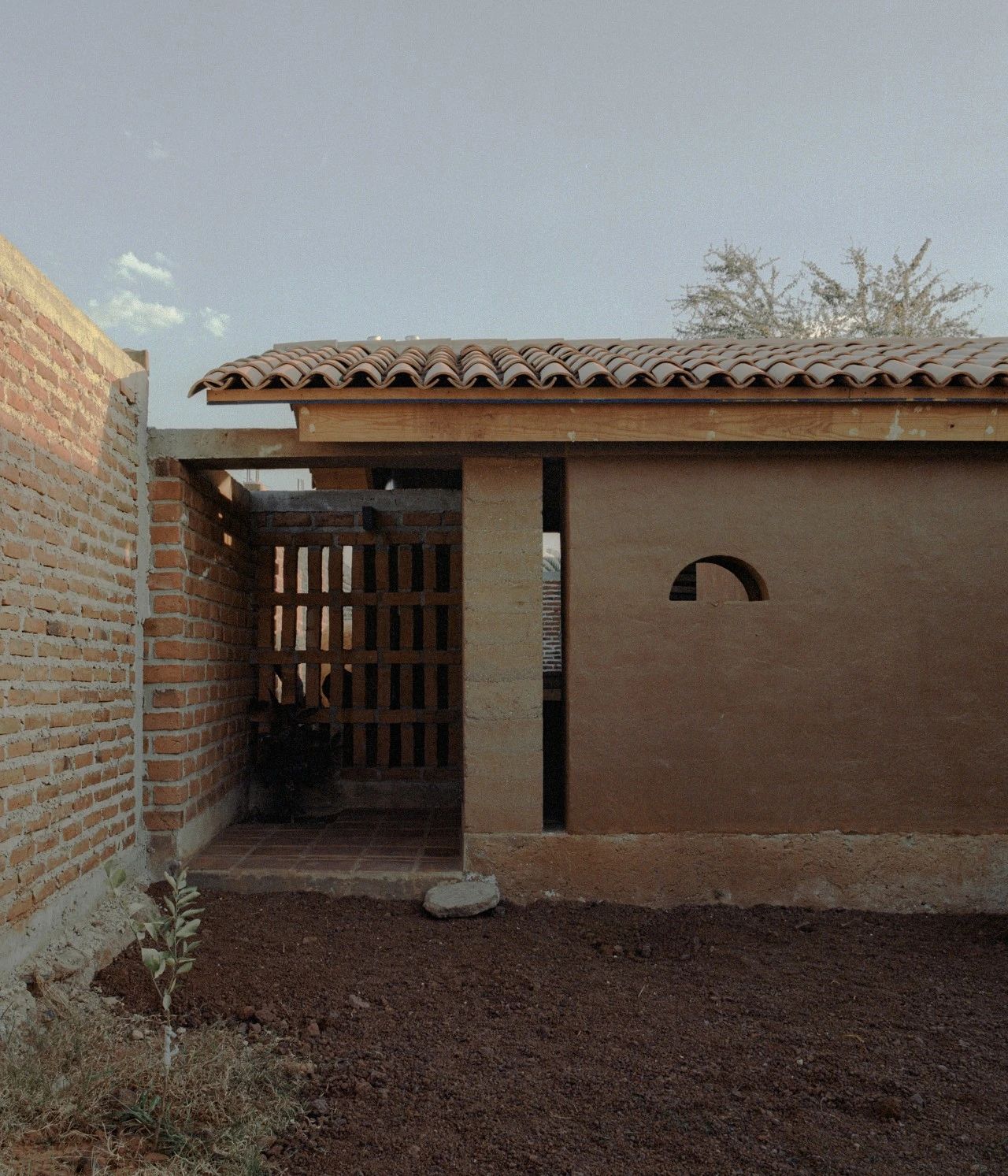 蕨类植物丨墨西哥丨Taller Hector Barroso-57