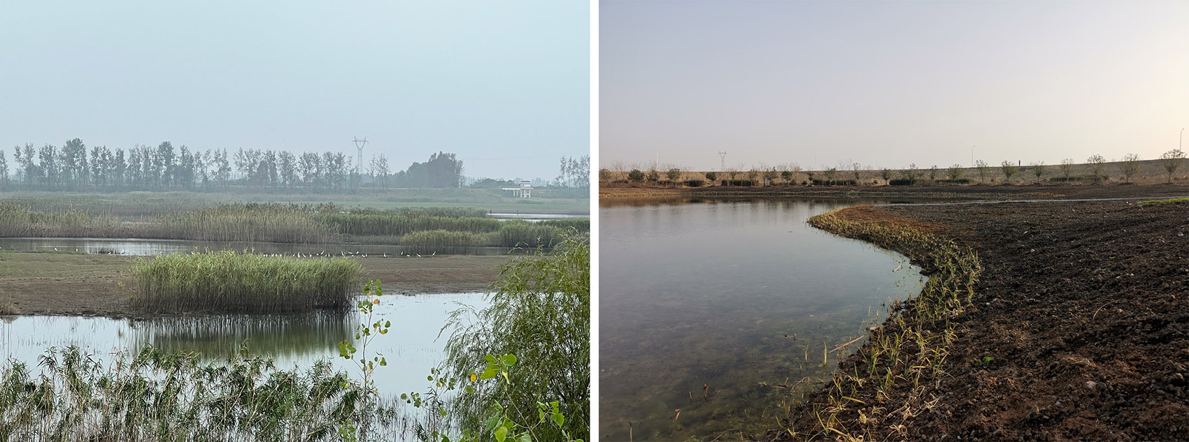 沉湖国际湿地艺术中心丨中国武汉丨迹·建筑事务所（TAO）-14