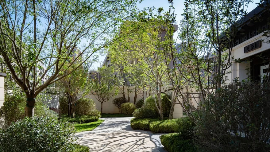 沈阳龙湖·天宸原著-32