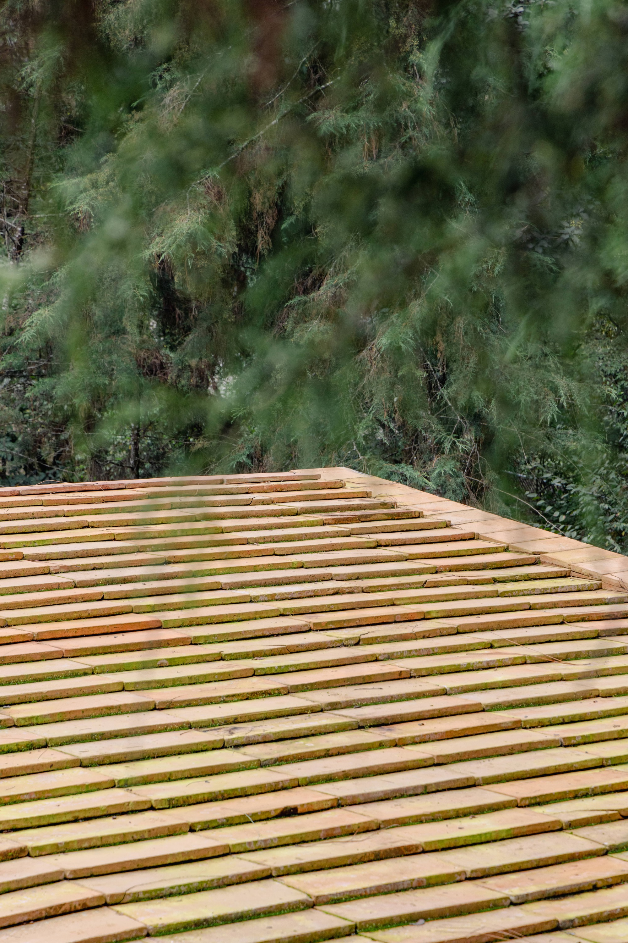 弗隆达尔宅邸丨墨西哥丨Taller MRD-28