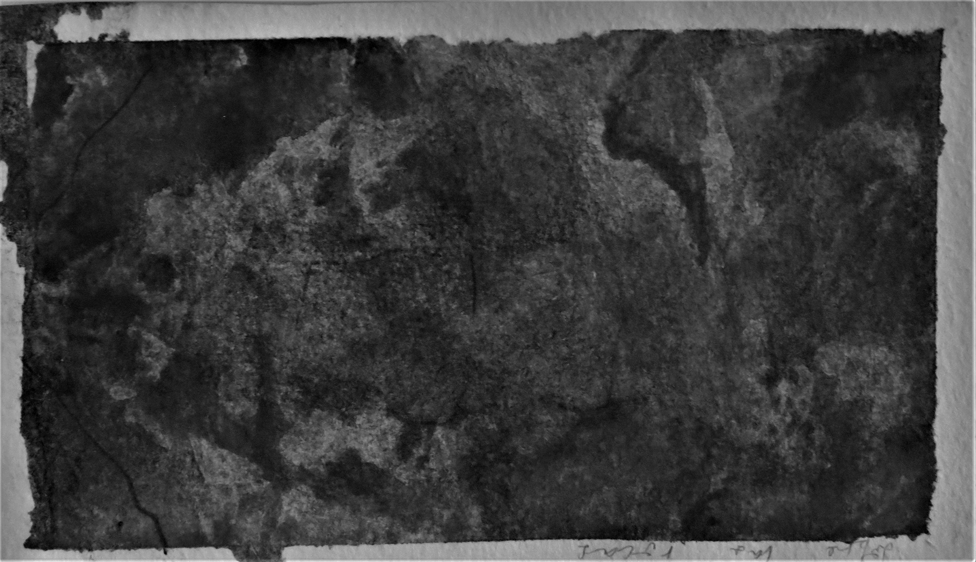 自然元素空间设计-13