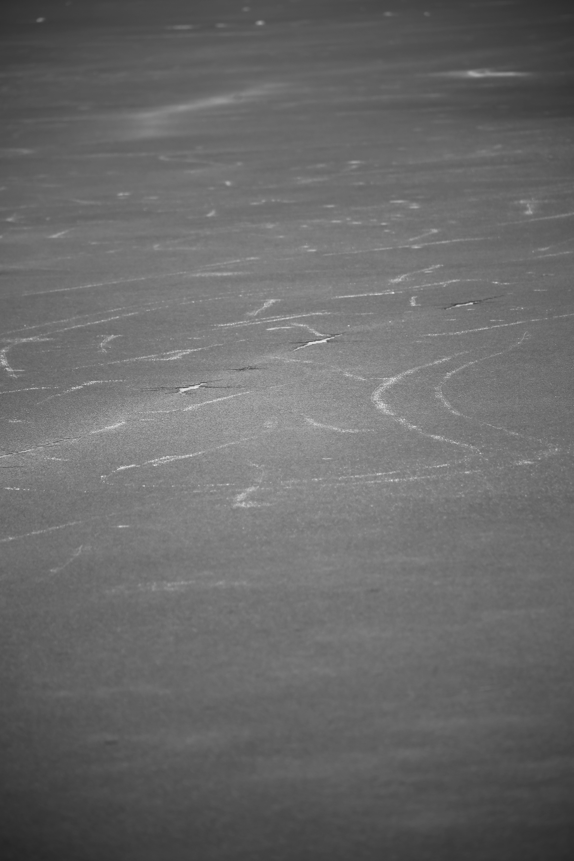 A Winter's Day（冬日）-15