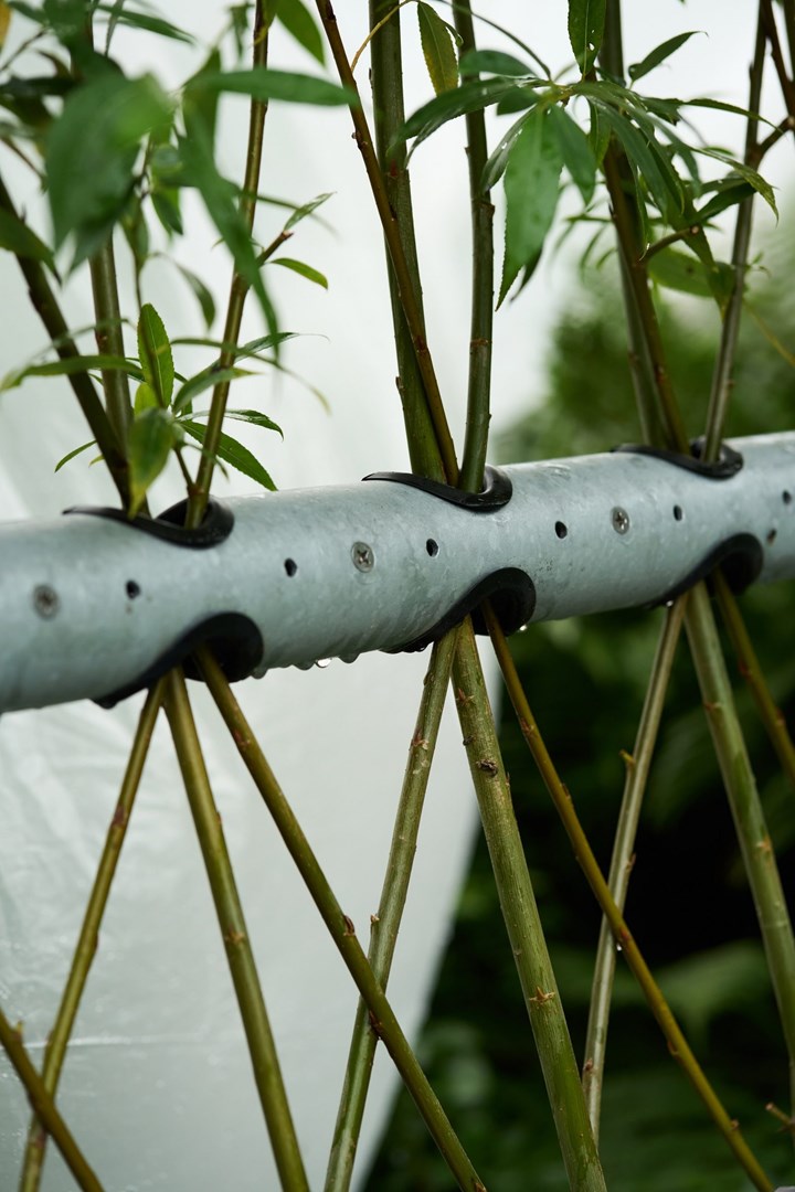 Tenir（将柳树培育成活的长椅）丨比利时丨Studio Part-4