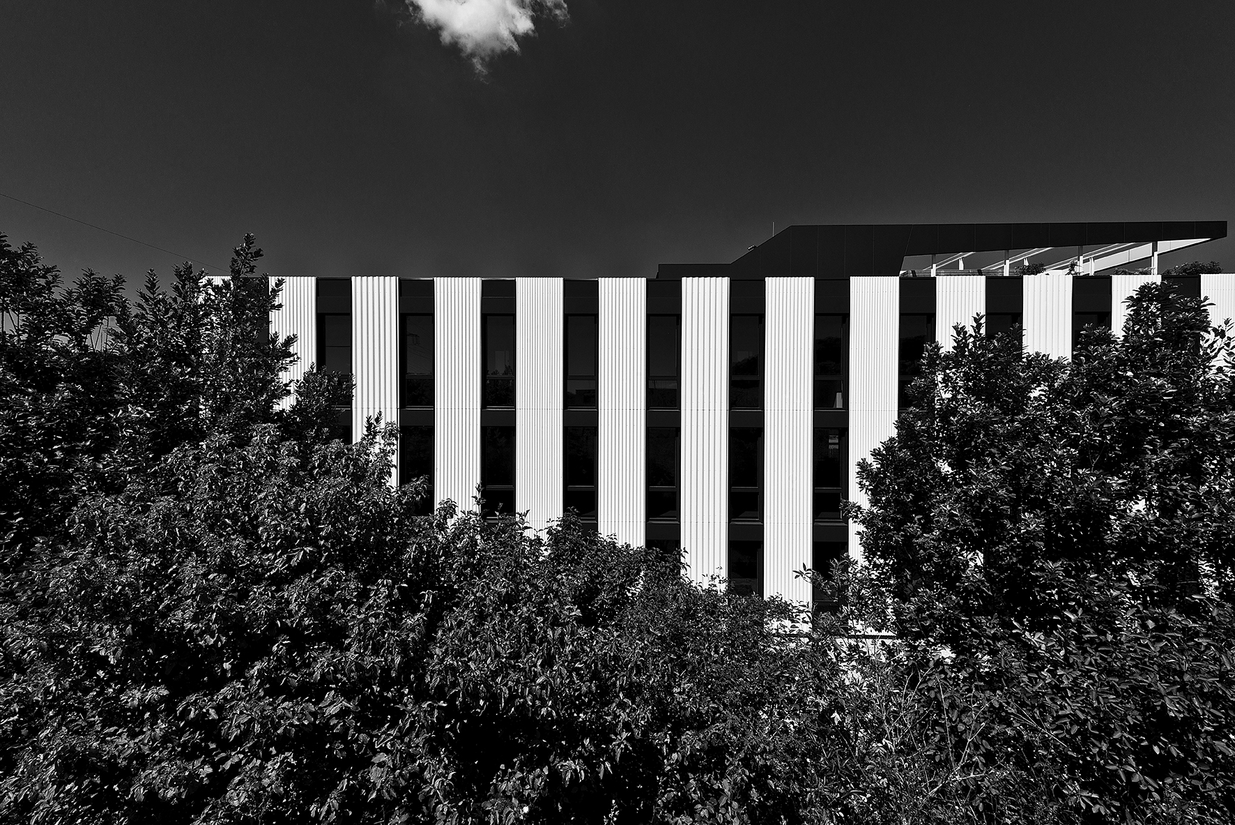 奥地利 B3 办公楼-31