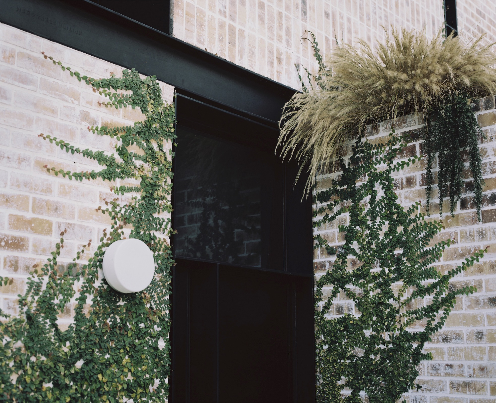 坎贝尔家族丨南非开普敦丨Michael Lumby Architecture-31