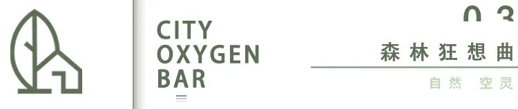 幻象森林,都市绿洲里的自然魅力-24