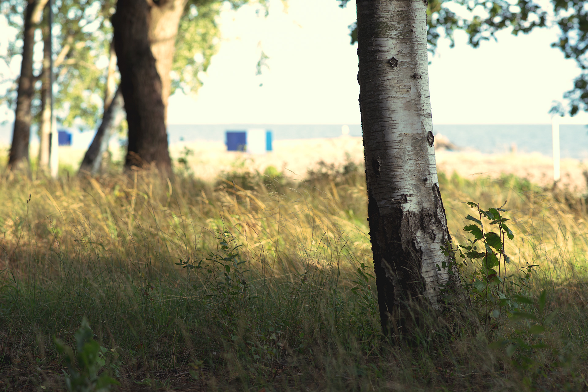 芬兰湾度假村设计-4