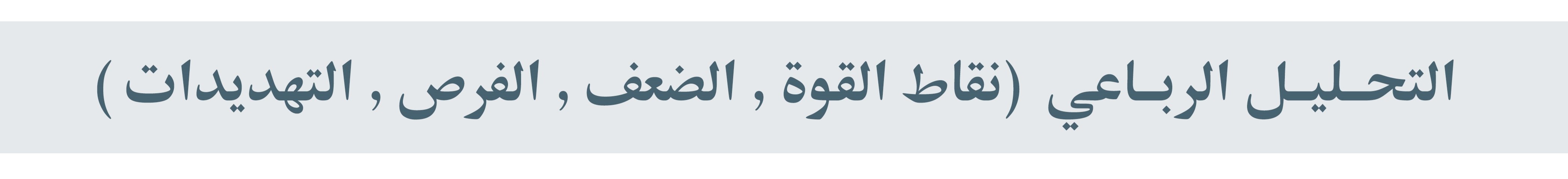 开罗市战略规划及现状研究项目丨埃及开罗丨亚历山大大学美术学院建筑系-43
