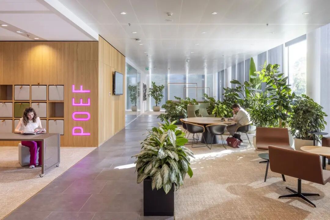 De Knoop办公室丨荷兰乌得勒支丨Fokkema Partners,R creators联盟等-24