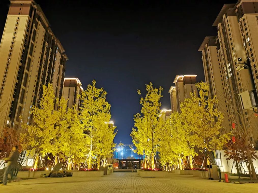 老街坊们，回家啦！-86