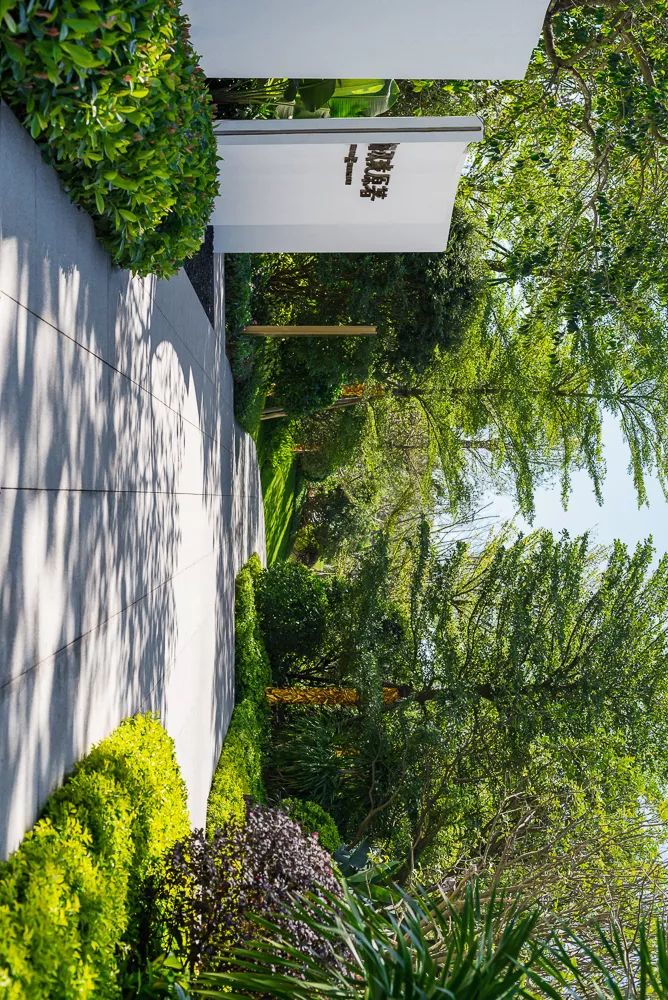 自然的魅力与艺术 | 广州龙湖 · 双珑原著-30