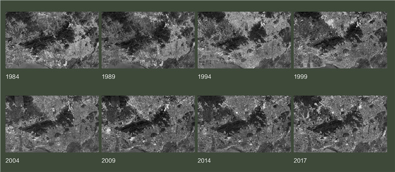 益力矿泉水厂更新策略研究丨中国深圳丨有方-16