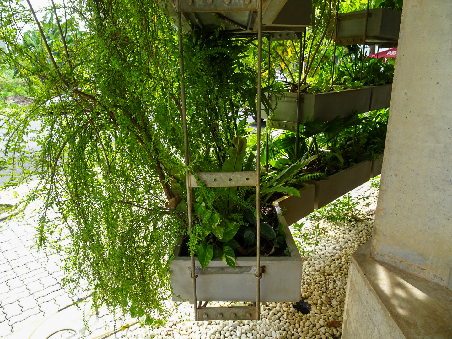 アーバン・ファーミング・オフィス | ベトナム の建築【世界建築巡り】-45