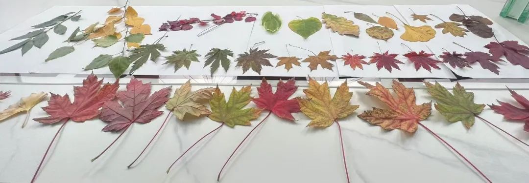 礼序东方 盛京游园 | 沈阳万科·胤樾-90