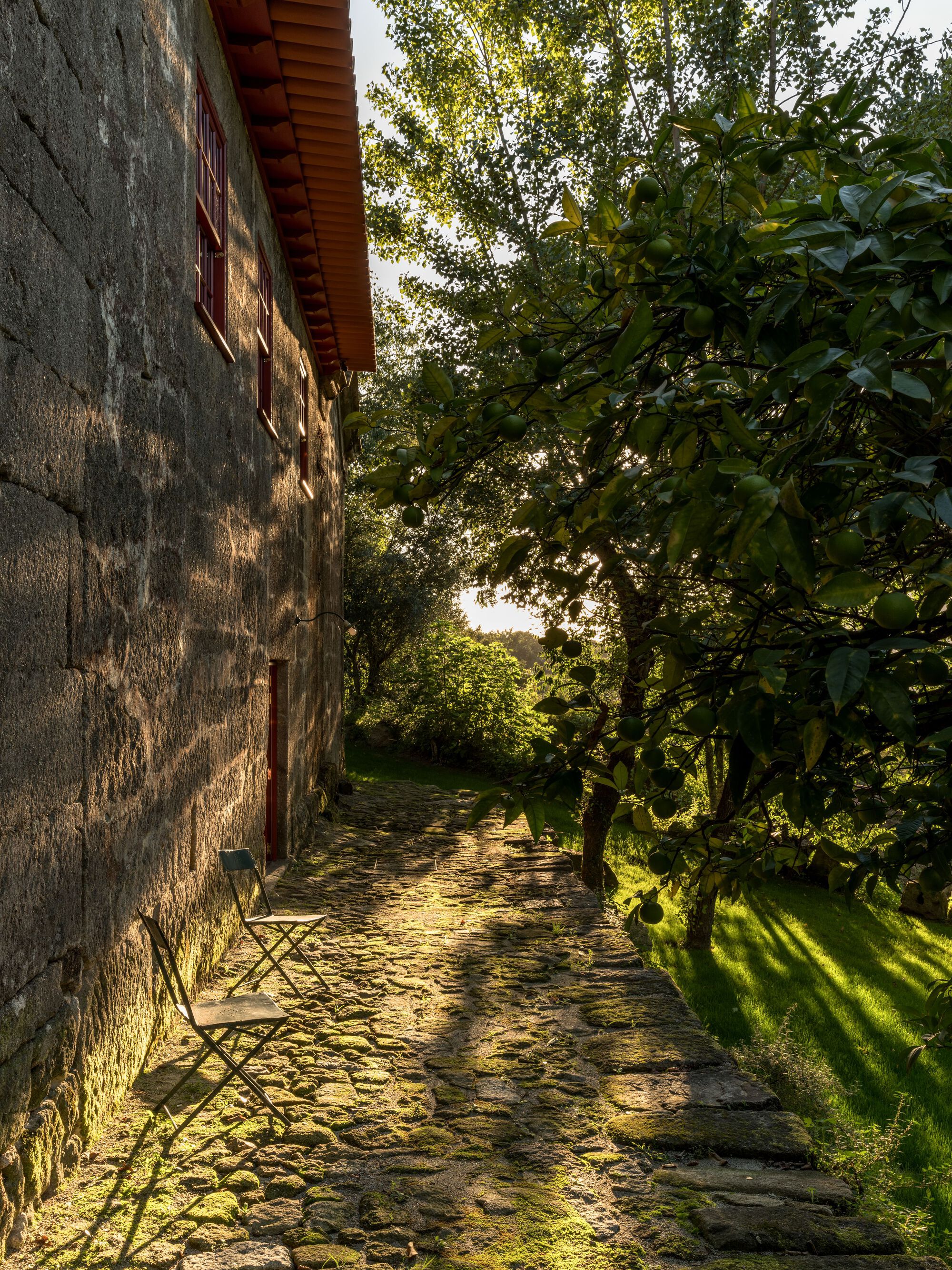 Quinta de Velude 庄园修复项目丨葡萄牙丨Correia,Ragazzi Arquitectos-53