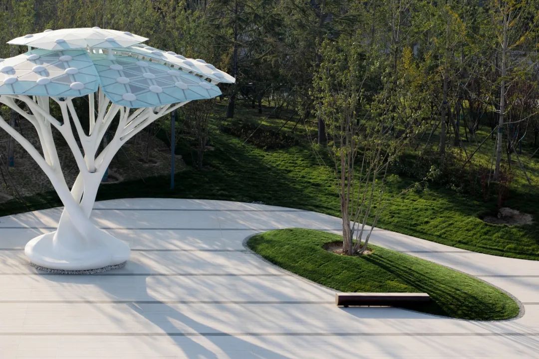 绿色智慧生活样本 | 乡愁记忆的新区实验区-25