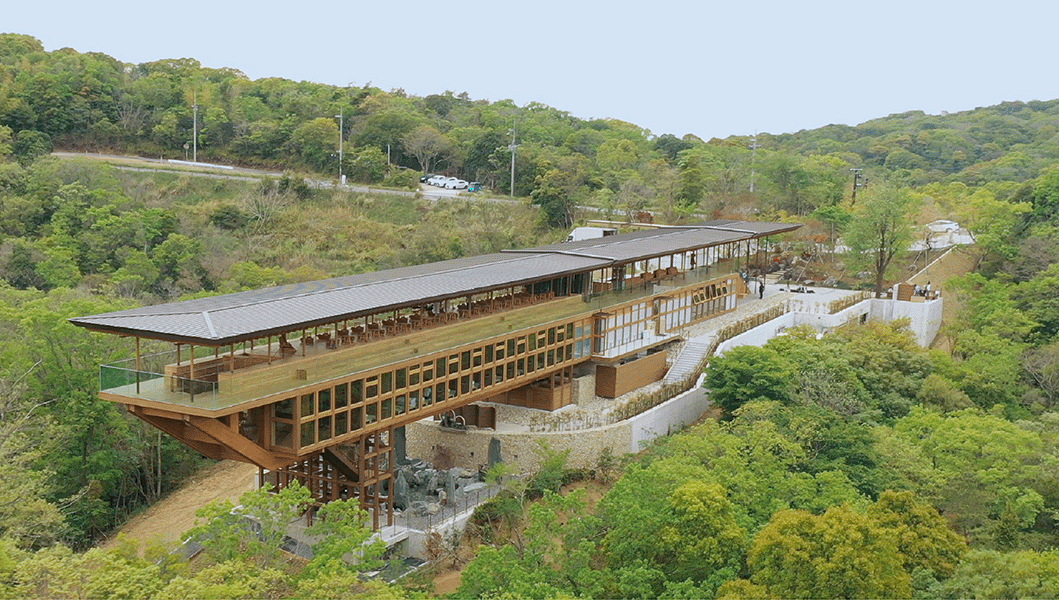 禅意空间 · 坂茂悬浮森林木结构禅修场丨日本兵库-16
