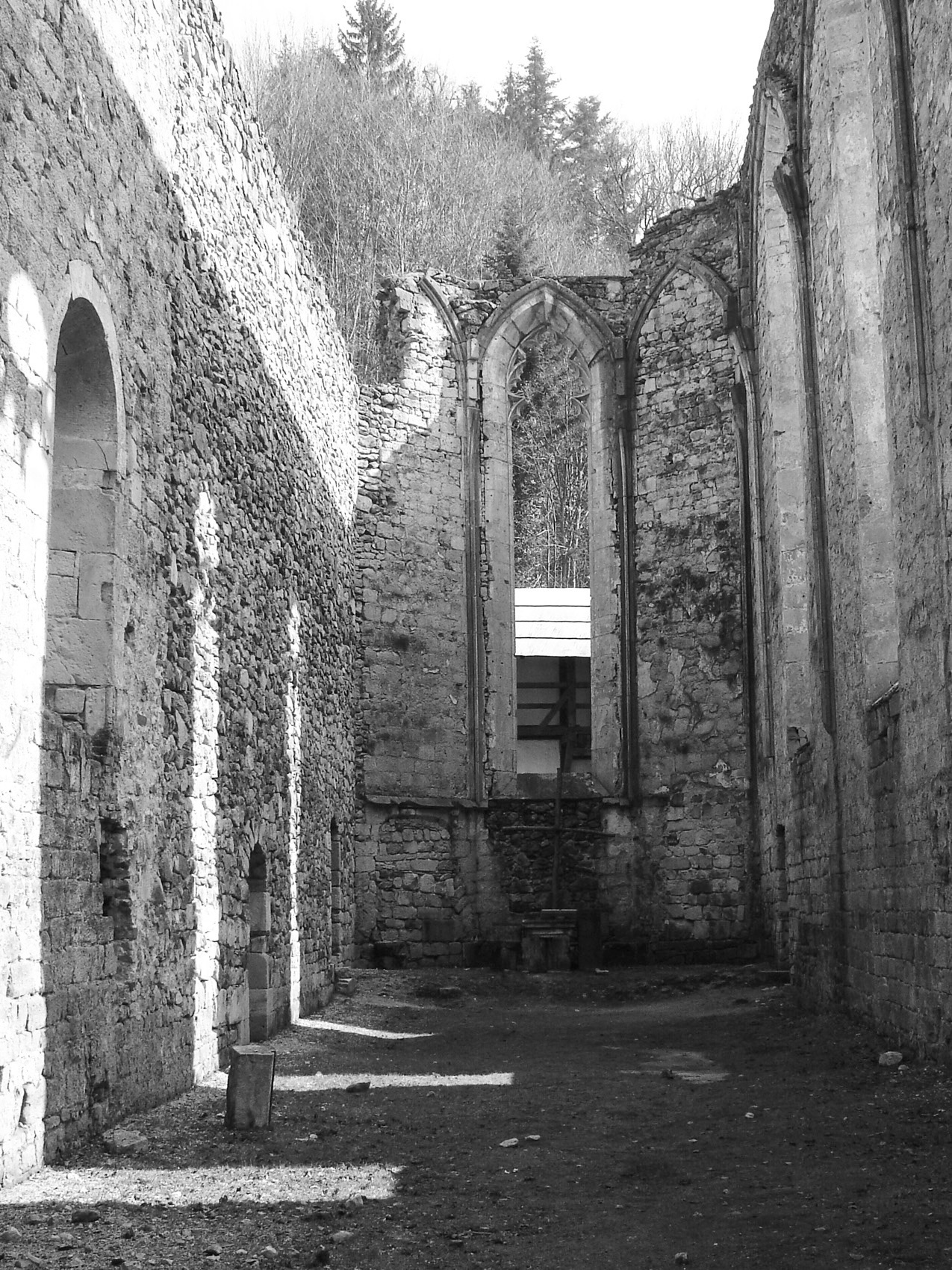 St· John 教堂(Žiče 卡尔特修道院)遗迹屋顶重建丨斯洛文尼亚丨MEDPROSTOR-60