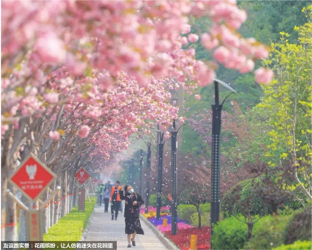 廊坊开发区道路景观综合改造提升设计项目丨中国廊坊丨北京市园林古建设计研究院·王显红工作室-50