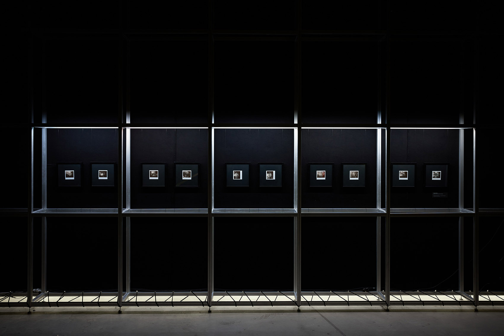 “庆祝变革”,MO博物馆主题展丨立陶宛丨ŠA atelier-25