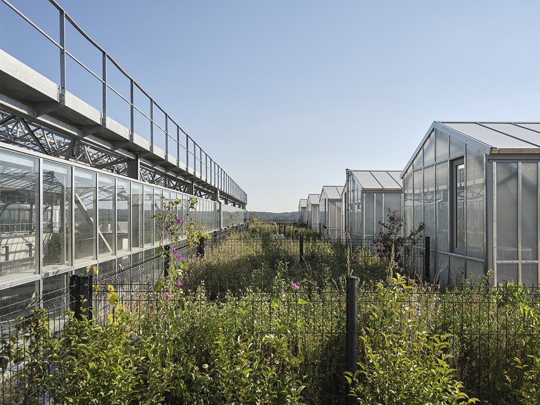 新作 | 洒满阳光的大船：法国UTOPIA住宅 / Champenois Architectes-19