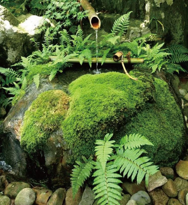 日本坪庭设计 | 微缩自然,打造静谧空间-97