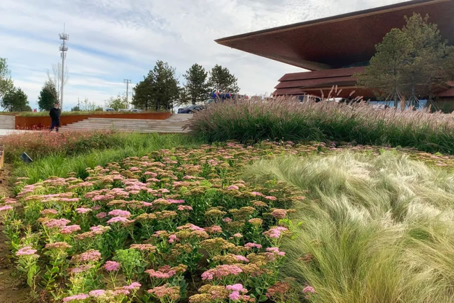 雄安白洋淀水岸公园景观设计丨TLS景观设计事务所-65