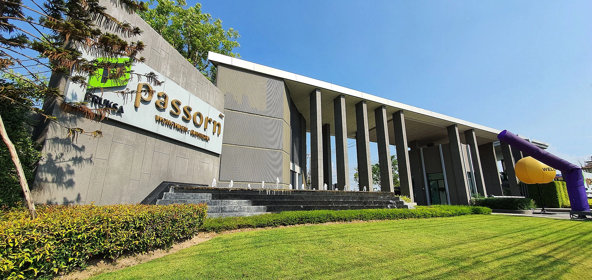 植物精英和帕森-29