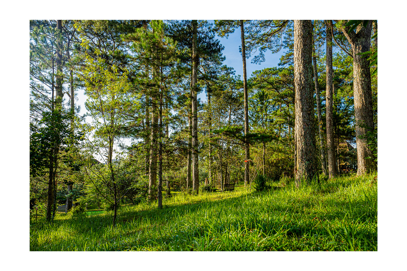 越南 Dalat Ana Mandara 别墅群丨BoStudio-21