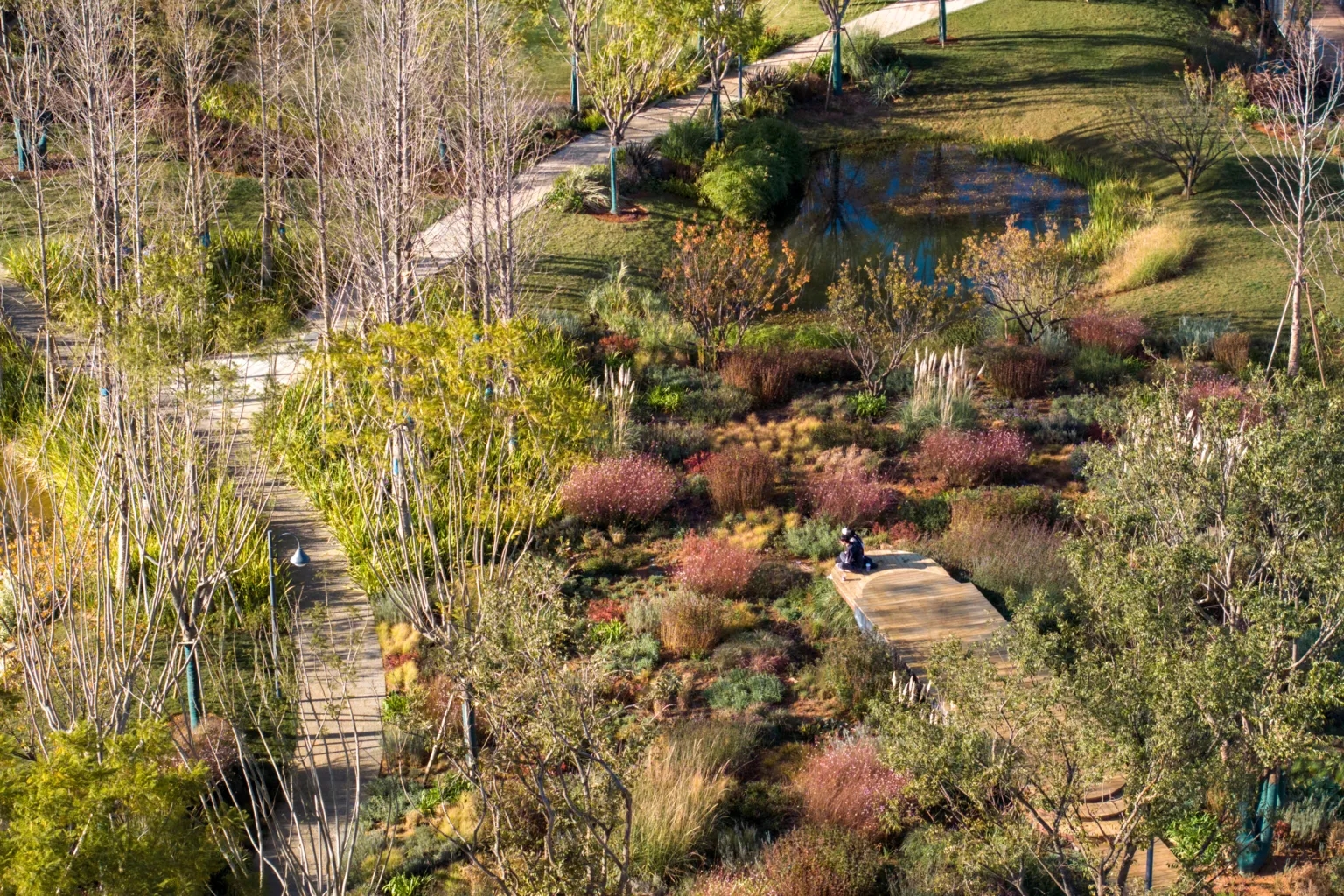 昆明呈贡沐春湖和泛春湖水环境整治丨中国昆明-20