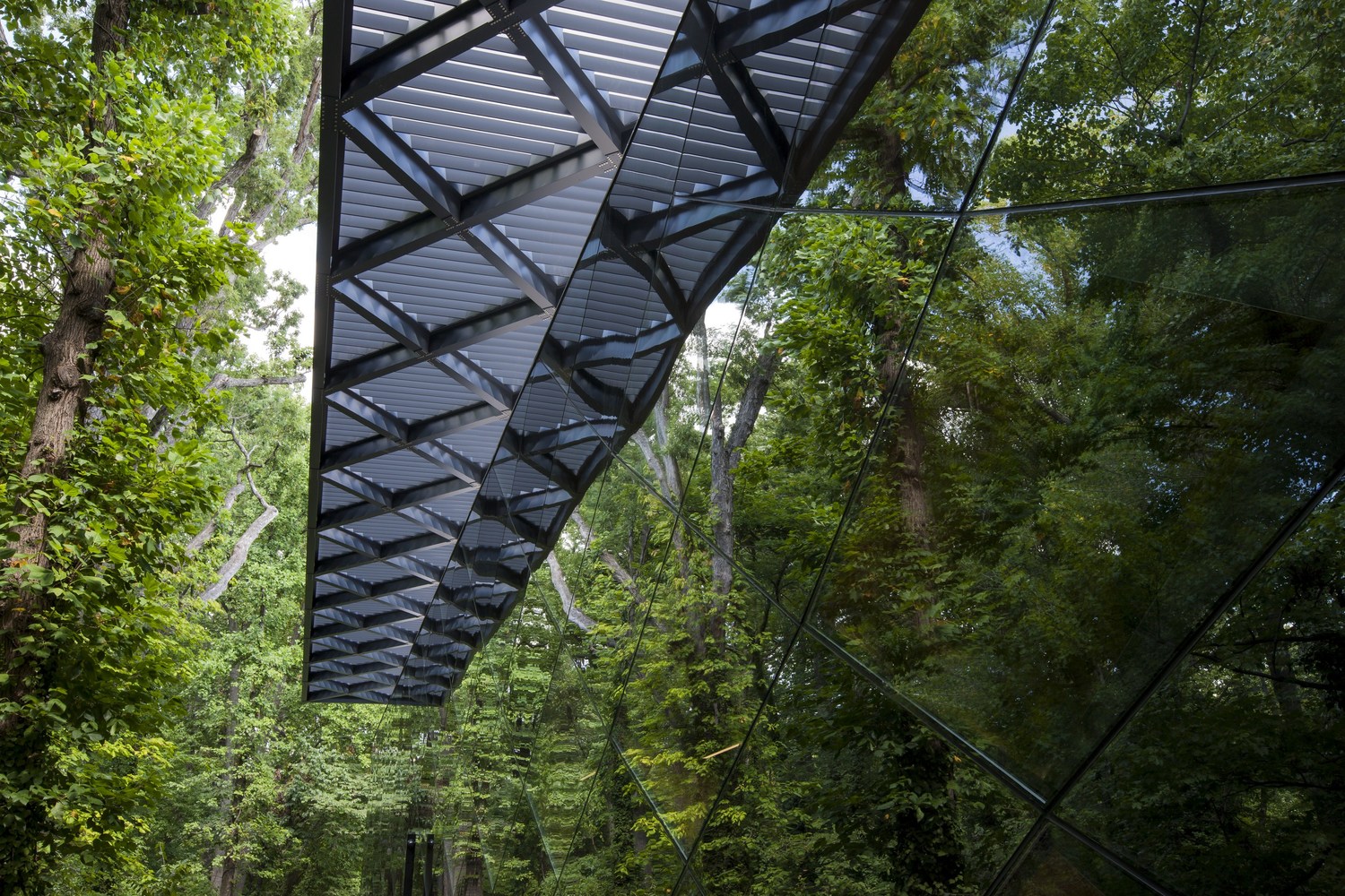 Francis A. Gregory Library  Adjaye Associates-39