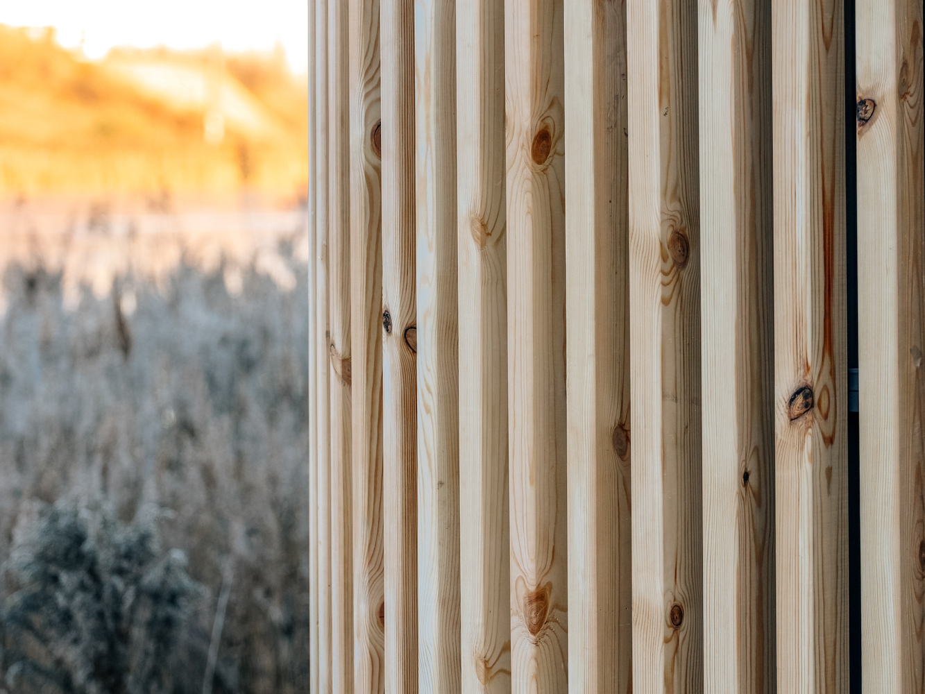 俄罗斯森林公园"自然++ 文化"设计-48