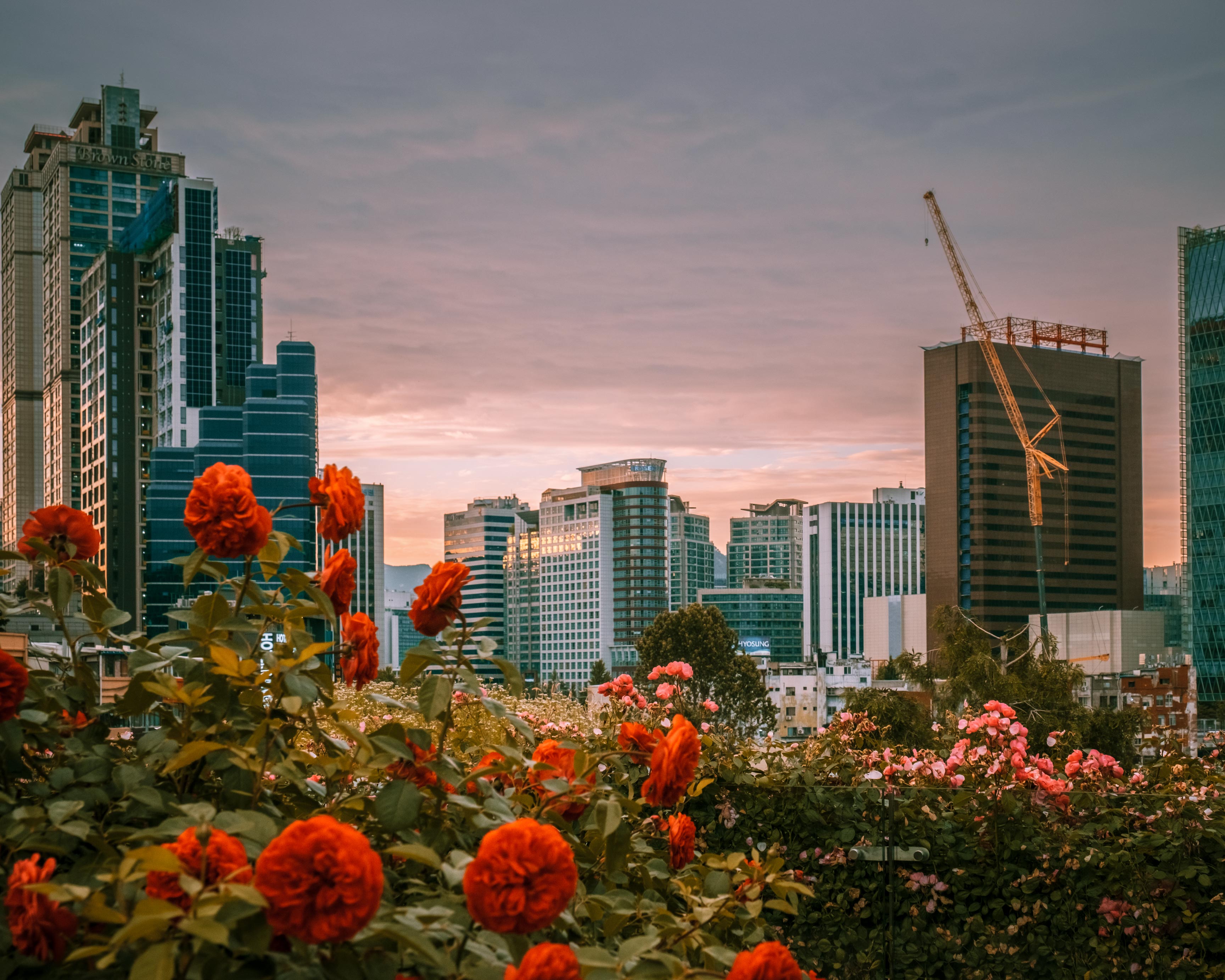 首尔路 7017丨韩国首尔-17