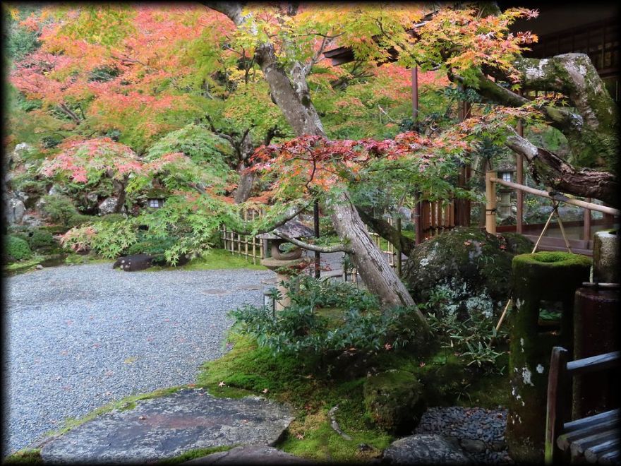 高台寺十牛庵本館庭園丨日本京都丨七代目小川治兵衛-19