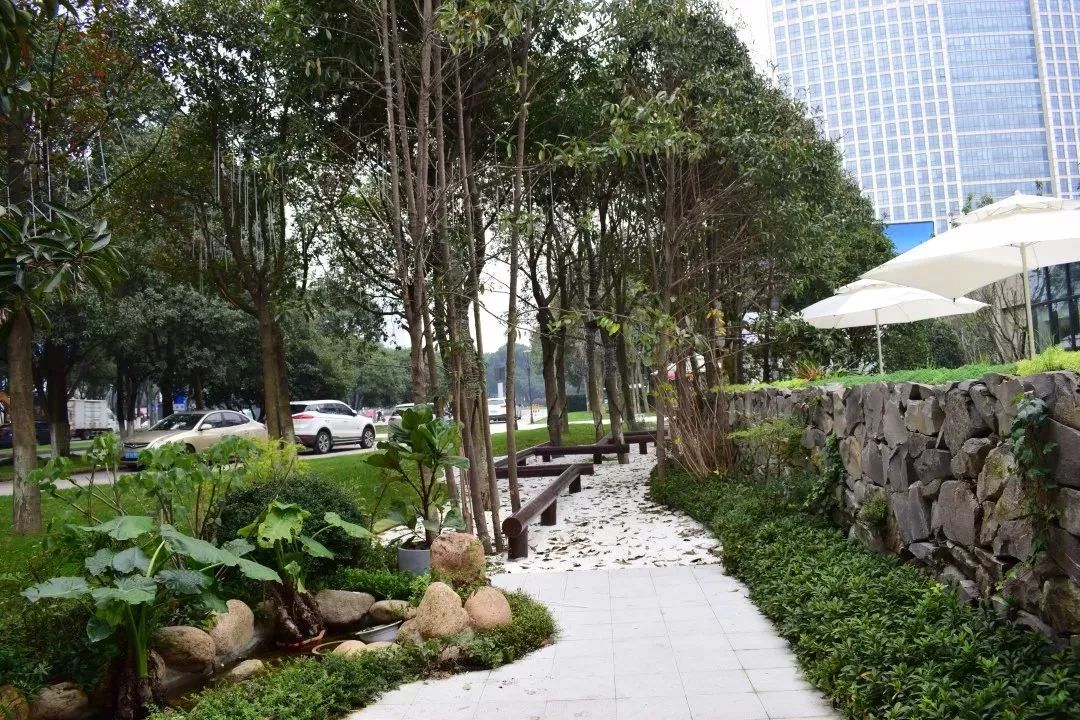 迪赛·东篱——新中式风格的庭院美学-43